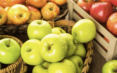 Fête de la pomme à Bréançon